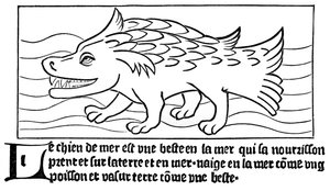 El Perro del Mar de French School