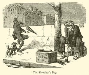 El perro del limpiabotas de French School