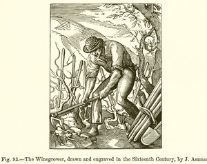 El viticultor