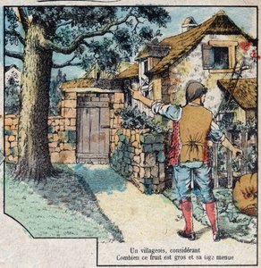 La bellota y la calabaza. Fábulas de Jean de La Fontaine (1621-95). Imagen de Épinal de finales del siglo XIX. de French School