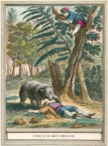 El oso y los dos compañeros