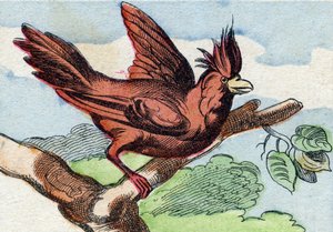 El cardenal. Grabado en "Buffon Alphabet des Oiseaux n 2". 3ª Serie N 2. Imágenes de Epinal, Epinal, finales del siglo XIX. 16 páginas. de French School