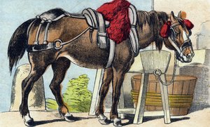El caballo. Grabado en "Buffon Alphabet des Animaux". 3ª Serie N 1. Imágenes de Epinal, Epinal, finales del siglo XIX. 16 páginas. de French School