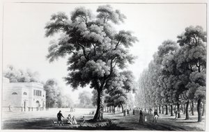 La avenida principal en el Prater, Viena, 1821