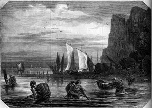 La pesca de camarones en las cercanías de Le Havre, Sena Marítimo (76) de French School