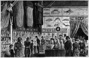 La exposición zoológica en el Museo de Historia Natural de París, colecciones reunidas durante las expediciones científicas de los barcos Worker y Talisman de French School