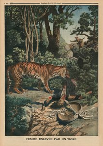 Tigre atacando a una mujer, ilustración de la contraportada de 