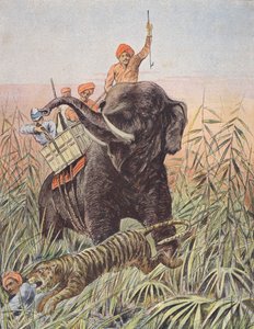 Caza del tigre, India (litografía en color)
