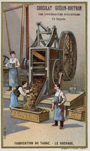 Fabricación de tabaco. Trituración de hojas de French School