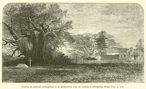 Tumbas de la señora Livingstone y de Kirkpatrick bajo un baobab, en Shoupanga House de French School