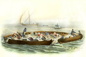 La pesca del atún o magrague - Lámina extraída de la Histoire Naturelle de Bernard Germain de Lacepede (1856-1925), edición P.Furme, París de French School