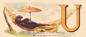 U: ¡Un perezoso, el pájaro de las islas! ¡Un indolente, un inútil!