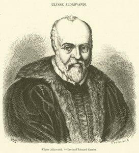 Ulisse Aldrovandi de French School