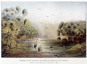 Paso del Alto Nilo con papiro y bosquecillo de juncos. de French School
