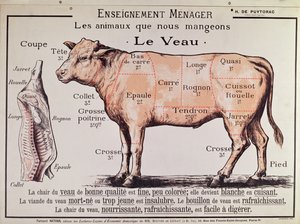 Ternera: diagrama que representa los diferentes cortes de carne