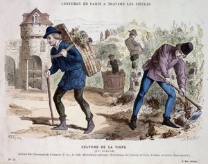 Cultura de la vid en el siglo XV - en “Traje de París a través de los siglos” de French School