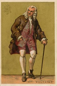 Voltaire de French School