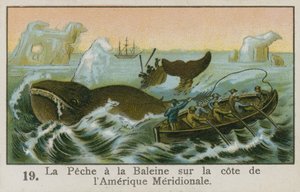 Caza de ballenas frente a la costa de Sudamérica de French School