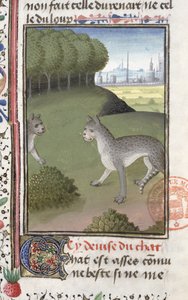 Gatos salvajes, del Livre de la Chasse de Gaston Phebus de Foix (1331-91)