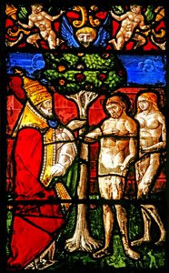 Ventana w2 que representa a Adán siendo advertido de no comer del Árbol del Conocimiento de French School