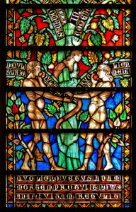 Ventana w8 que representa detalles del Árbol de la Vida de French School