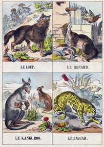 Lobo; Zorro; Canguro; Jaguar. Grabado en "Buffon Alphabet des Animaux". 3ª Serie N 1. Imágenes de Epinal, Epinal, finales del siglo XIX. 16 páginas. de French School