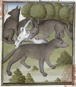 Lobos, del Libro de la Caza por Gaston Phébus