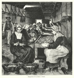 Mujeres preparando sardinas de French School