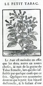 Le Perit Tabac, Ilustración de Discours du Tabac por Jean Le Royer de Prade, 1671 de French School