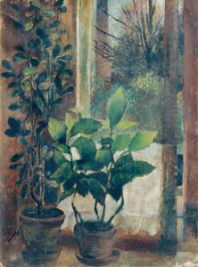 ventana con flores