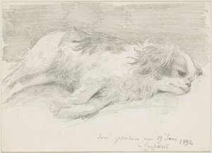 estudios de perros de Friedrich August von Kaulbach