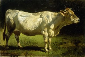 Vaca en un paisaje
