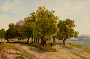 Grupo de árboles en el Kahlenberg con vistas a Viena