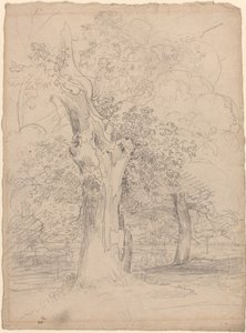 Un árbol antiguo con figuras en un paisaje de Friedrich Salathé