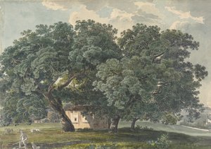 Paisaje Italiano con Árboles recto, 1815-21 de Friedrich Salathé
