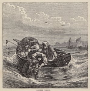 Pesca de Langosta de Friedrich Specht