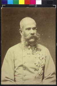 Francisco José I de Fritz Luckhardt