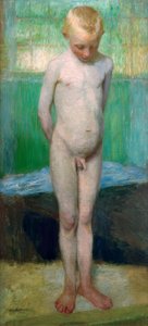 Chico desnudo