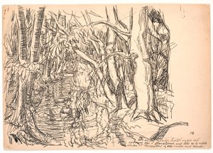 Los otros patos de Fritz Syberg