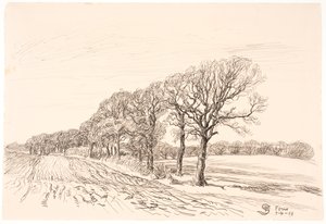Paisaje con Robles. Føns