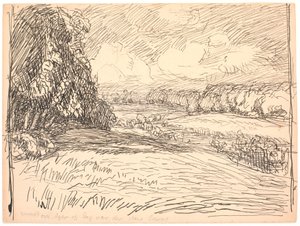 Alrededor del campo y el prado había grandes bosques