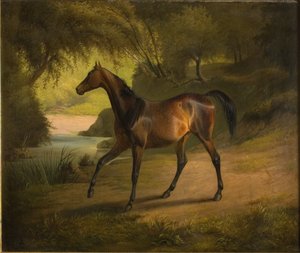 Antonia de Fritz Thomsen