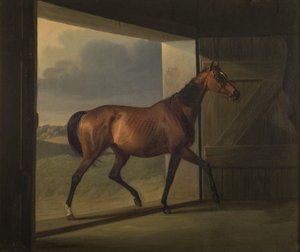 Jutta de Fritz Thomsen