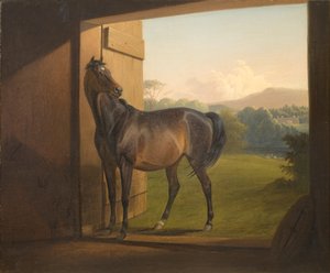 Reveller Mare de Fritz Thomsen