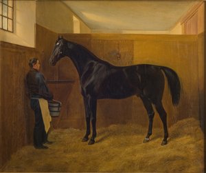 Zampa de Fritz Thomsen