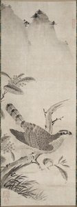 Hawk de Fujiwara Masayoshi