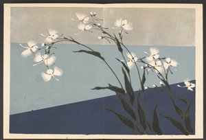 Shasei sôka môyô, Patrones de plantas y flores de la vida