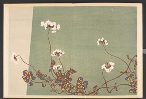 Shasei sôka môyô, Patrones de plantas y flores de la vida de Furuya Korin