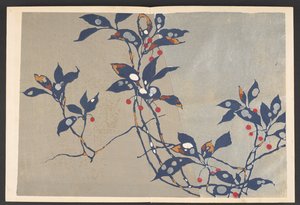 Shasei sôka môyô, Patrones de plantas y flores de la vida