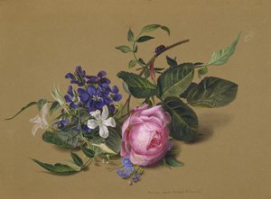 Escarabajo en la rama de la rosa de Fyodor Petrovich Tolstoy